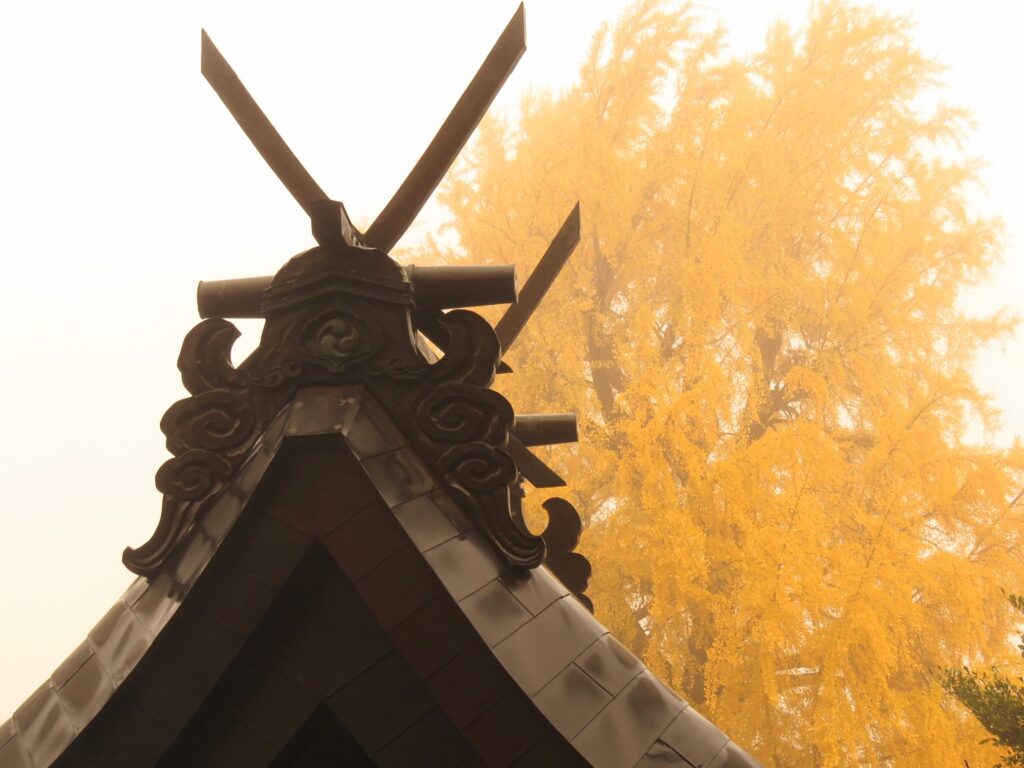 丹生酒殿神社の大イチョウ